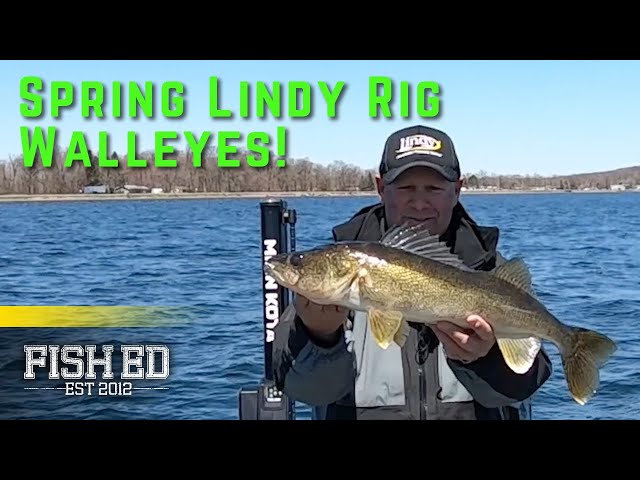 Watch Live Bait Rigging Techniques for Spring Walleyes – Fish Ed on YouTube.