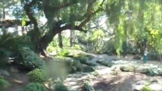 Watch Marc B The River video