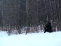Lov prasat v Česku