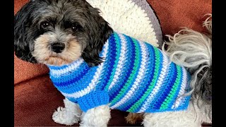 Striped Dog Coat "Show & Tell" by Jonah's Hands