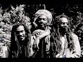 ISRAEL VIBRATION - We a de rasta