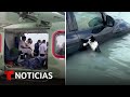 Dramáticos rescates de personas (y un gato) por las inusuales lluvias en Dubai | Noticias Telemundo