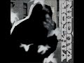 A Dead Mouse Video preview