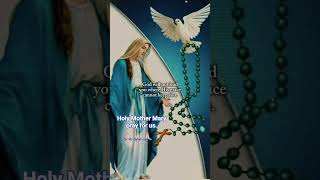 Holy Mother Mary, Look With Mercy Upon Us, Pray For Us.