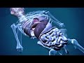 Earth's Greatest Bizarre Mysteries - Paranormal Supernatural Documentary
