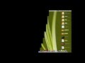 أسهل طريقه لحجب المواقع الأباحيه وبدون برامج