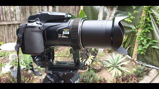 Nikon P1000 with Manfrotto 293 telephoto lens support modification