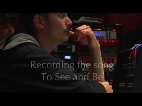 The Sky Is Falling Video