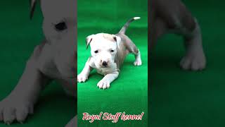 Available Best Female 9877375041