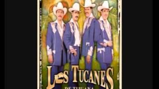 Watch Los Tucanes De Tijuana Que Me Entierren Con La Banda video