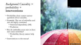 Domain Counterfactuals for Explainability, Fairness, and Domain Generalization