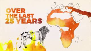Lion Recovery Fund: Our Strategy to Save Lions - Narrated by Leonardo DiCaprio