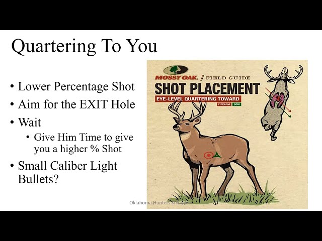 Watch Learn to Hunt: Youth Deer Rifle on YouTube.