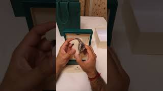 Unboxing The Iconic Rolex Submariner No Date