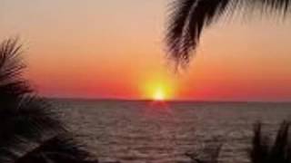 Gracie 39 S Theme Outro Paul Cardall Gracie 39 S Theme Outro Paul Cardall