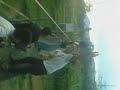 Layangan Bersama images Layangan Bersama