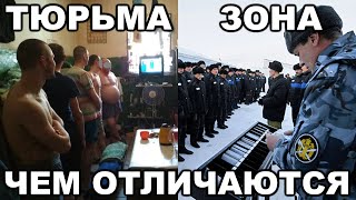 Чем Отличается Тюрьма От Зоны