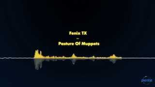 Watch Fenix TX Pasture Of Muppets video