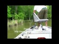 North Carolina Bass Fishing Reports