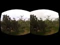 Oculus Rift Movie Test