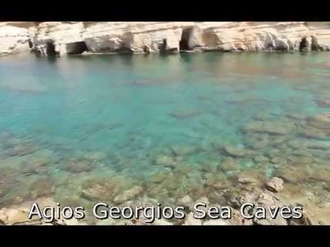 blue lagoo shark