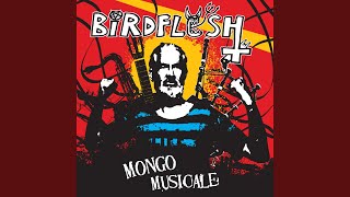 Watch Birdflesh Mr Big Head video