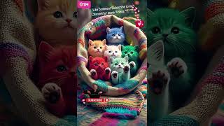 Colourful Cats Group Say Hello To Everyone