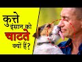 Why do dogs lick humans? Why Dogs Lick Humans | Facts about Animals | Most amazing facts