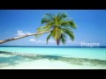 Sleep and relaxing music, tropic island! #1