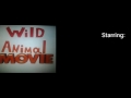 Wild Animal Movie Bee Movie Cast Wild Animal Movie Bee Movie Cast
