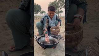 Desi Picnic