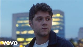 Watch Niall Horan Too Much To Ask video