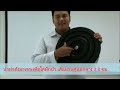 การเพาะถั่วงอก