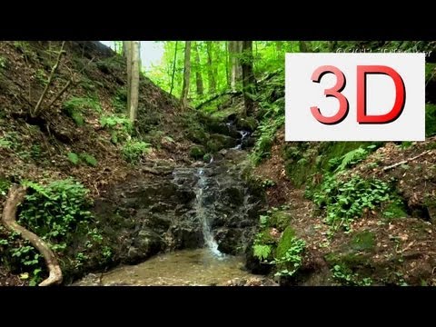 3D Nature: Waterfall Relaxation #10 and Bird Songs