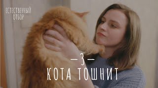 Естественный Отбор. Серия 3. Кота Тошнит — Комедия | Фильмы И Сериалы