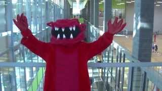 Mascot Madness- Blaze's Rocky Theme