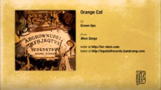 Watch Grown Ups Orange Cat video