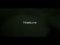 nature video
