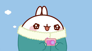 MOLANG and the PINGUIN - MOLANG COMPILATION - Cartoons for Kids