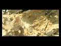 palestine nasheed.mp4