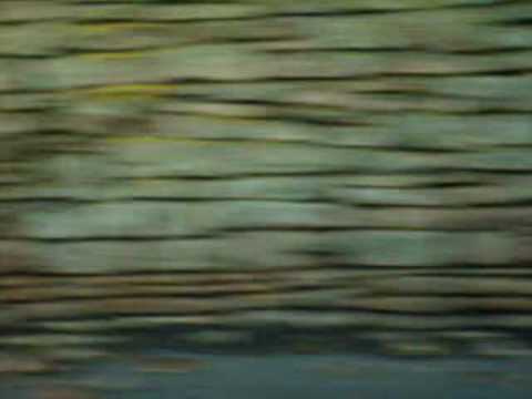 Rilkean Heart Video