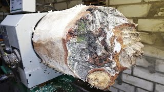 Woodturning - A Birch Crotch Hollowform
