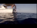kuşadası balık avı kuşadası balık avı