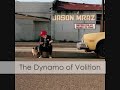 Jason Mraz - The Dynamo of Volition w/ lyrics