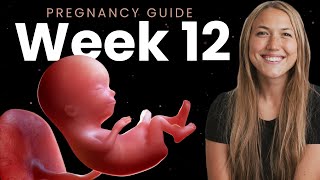 12 Weeks Pregnant Week By Week Pregnancy