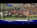 Horse Lands Into Crowd Of About 50 People