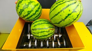 Shredding 3 Watermelons & Other Vegetables!