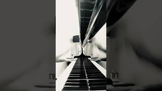 Dragonetti Concerto In G Major, I. Allegro Moderato Piano Accompaniment