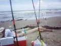 Playa en Boca de Aroa,Falcon paraiso Venezolano,destruido.CUANDO HABRA CONCIENCIA.
