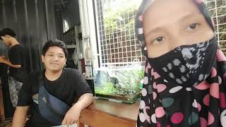 Lomba Aqua Scape Jepara Utara Mengenal Aque Scape Lebih Dalam